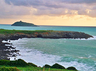 cirella